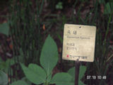 0507560s.jpg