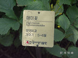 0507561s.jpg