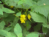 0507562s.jpg