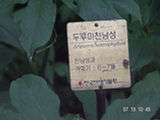 0507563s.jpg