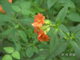 0507564s.jpg