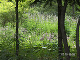 0507566s.jpg