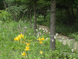 0507574s.jpg