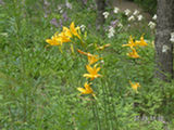 0507576s.jpg