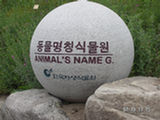 0507583s.jpg