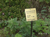 0507584s.jpg