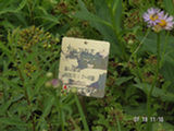 0507586s.jpg
