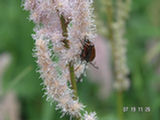 0507601s.jpg