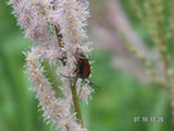 0507602s.jpg