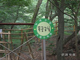 0507635s.jpg