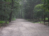 0507637s.jpg
