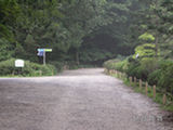 0507638s.jpg