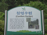 0507648s.jpg