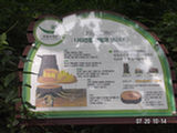 0507650s.jpg