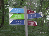 0507651s.jpg