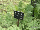 0507661s.jpg