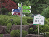 0507667s.jpg