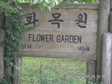 0507668s.jpg