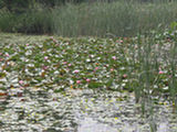 0507672s.jpg