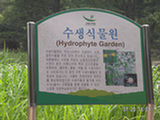 0507675s.jpg