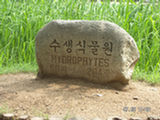 0507676s.jpg