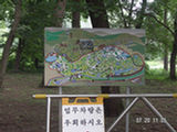 0507677s.jpg
