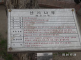 0605008s.jpg