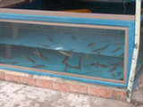 0605063s.jpg