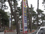 0605083s.jpg