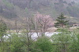 0605087s.jpg