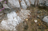 0605092s.jpg