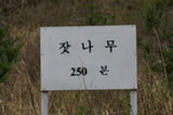 0605094s.jpg