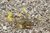 0605096s.jpg
