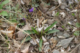 0605098s.jpg