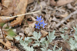 0605099s.jpg