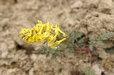 0605103s.jpg