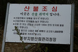 0605126s.jpg