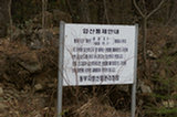 0605128s.jpg