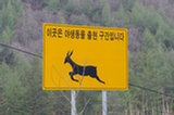 0605130s.jpg