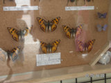 0605137s.jpg
