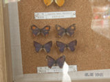 0605139s.jpg