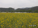 0605148s.jpg