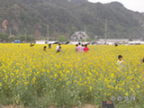 0605149s.jpg