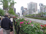 0605200s.jpg