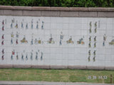 0605201s.jpg