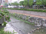 0605207s.jpg