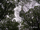 0605209s.jpg