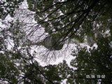 0605210s.jpg