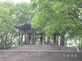 0605212s.jpg