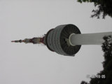 0605217s.jpg